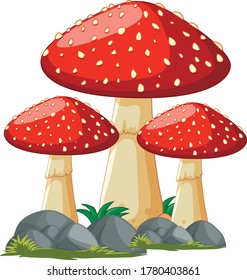 Illustration of some fly mushrooms in front of white background, faizal