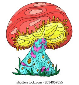 Illustration of some fly mushrooms in front of white background. Red Poison Mushrooms. Mushroom hand drawn engraved. Isolated vector illustration.