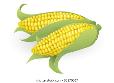 An illustration of some fresh tasty sweetcorn