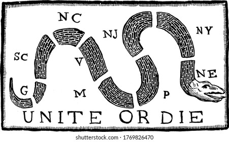 An illustration with some writings like, Unite or Die. A serpent device first appeared when the Stamp Act excitement was at its peak, vintage line drawing or engraving illustration.