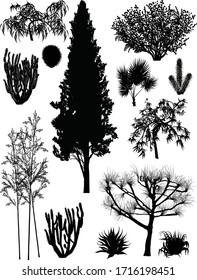 illustration with south plants silhouettes collection isolated on white background