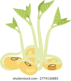 Illustration of soybean sprouts featuring germinated seeds with emerging green shoots, showcasing the early stages of plant growth and development.