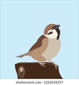 illustration of sparrow or also called a pinpai
