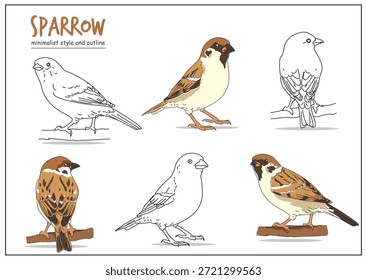 Illustration eines Spatzen in mehreren Posen mit klaren Umrissen dargestellt, Hervorhebung seiner natürlichen Farben und Eigenschaften. Tierdesign-Konzept