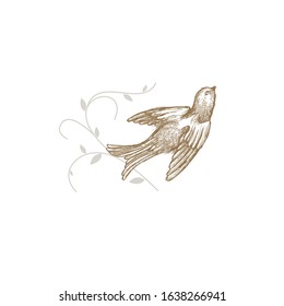 Illustration of a sparrow in flight