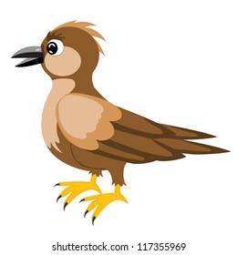 Illustration sparrow on white background insulated
