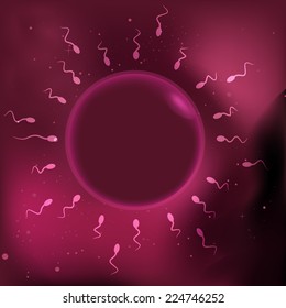 illustration of sperm and egg cell. 