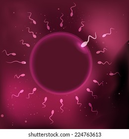 illustration of sperm and egg cell. 