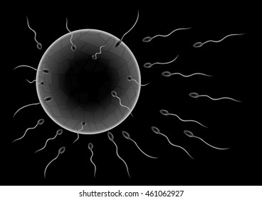Illustration of sperms going to the ovule. Image concept of fecundation. vector