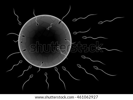 Illustration of sperms going to the ovule. Image concept of fecundation. vector