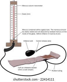 Illustration of a sphygmomanometer