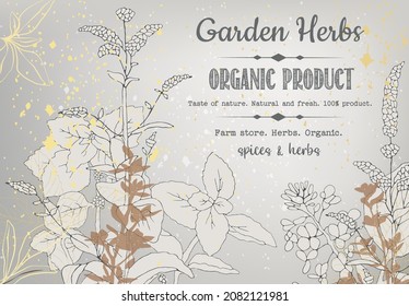 Illustration of spices, herbs and spices. Hand drawing. Postcard, invitation, background for decoration.
