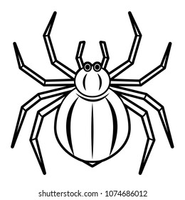 Illustration of a spider