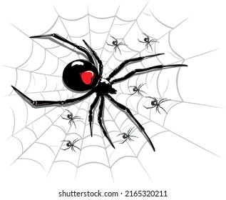 illustration of a spider above a spider web, with scattered small spiders.