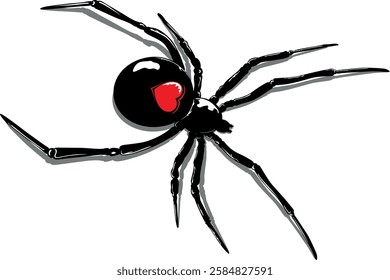 illustration of a spider with a heart on its back