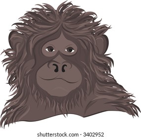 Illustration of a Spider Monkey. Illustration contains no gradients.