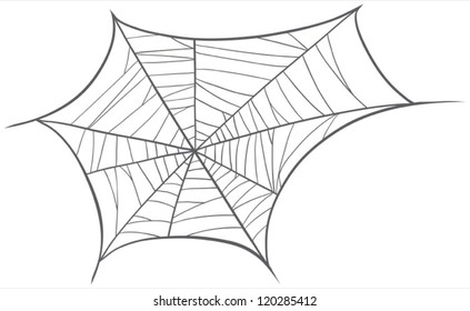 illustration of a spider net on a white background