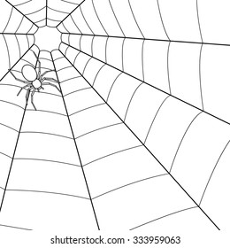 Illustration of the spider on cobweb