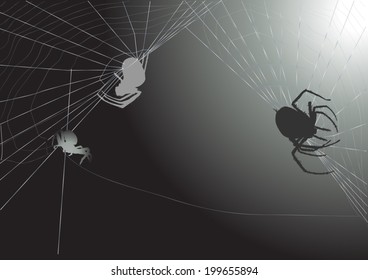 illustration with spider on dark grey background