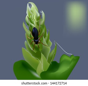 illustration with spider on green plant