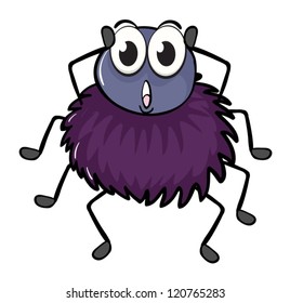 illustration of a spider on a white background