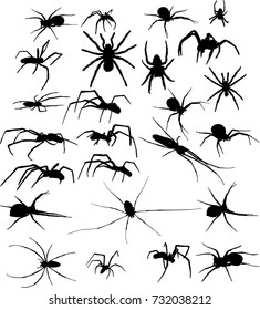 illustration with spider silhouettes isolated on white background