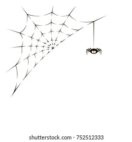 illustration of spider and spiderweb on white background