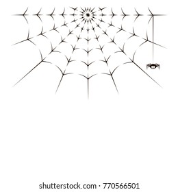 illustration of spider and spiderweb on white background