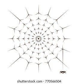 illustration of spider and spiderweb on white background
