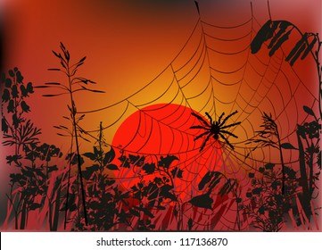 illustration with spider web in autumn grass