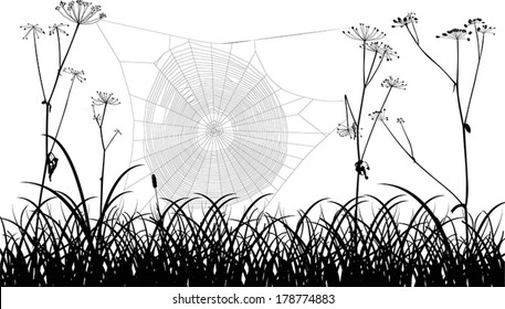 illustration with spider web in grass isolated on white background