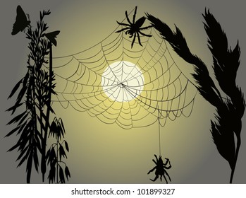 illustration with spider web in grass at sunset