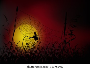 ilustración con telaraña en hierba al atardecer