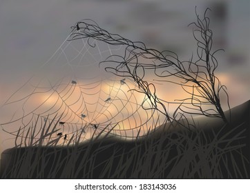 ilustração com teia de aranha na grama ao pôr do sol