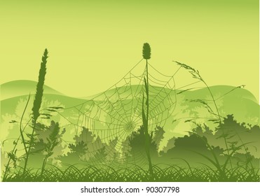 ilustración con telaraña en bosque verde