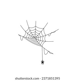 illustration of a spider web for halloween
