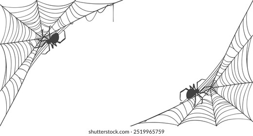 illustration of a spider web halloween frame, spider web vector eps