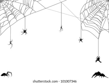 illustration with spider web isolated on white background