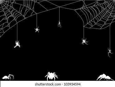 illustration with spider web isolated on black background