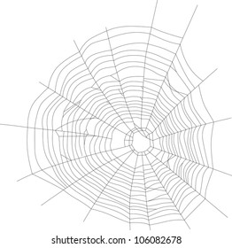 illustration with spider web isolated on white background