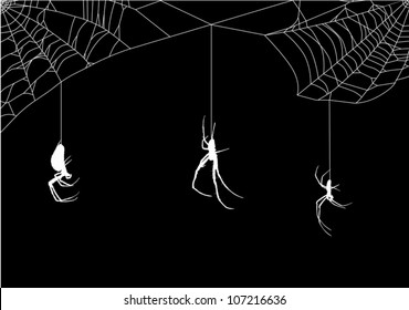 illustration with spider web isolated on black background