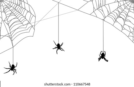 illustration with spider web isolated on white background