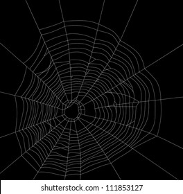 illustration with spider web isolated on black background