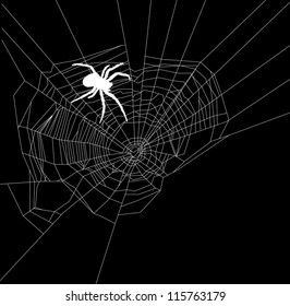 illustration with spider web isolated on black background