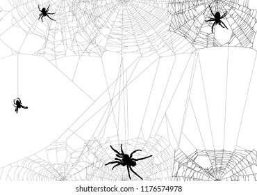 illustration with spider web isolated on white background