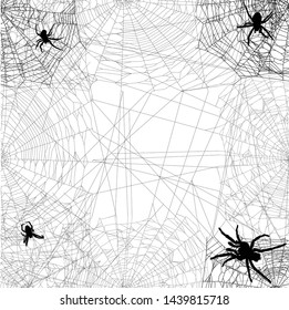 illustration with spider web isolated on white background