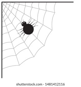Illustration of spider web and spider isolated on white background