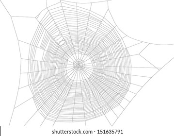 illustration with spider web isolated on white background