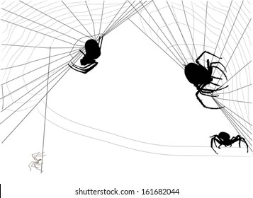 illustration with spider web isolated on white background