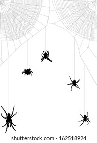 illustration with spider web isolated on white background